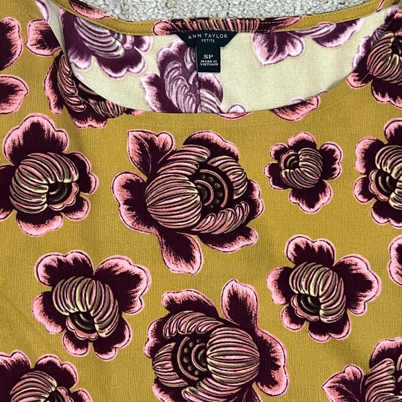 Ann Taylor SP - Picture 2 of 5